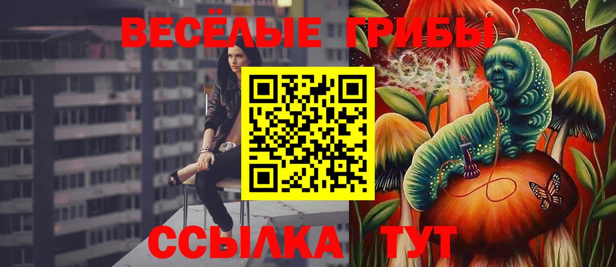 Псилоцибиновые грибы Psilocybine cubensis Баксан