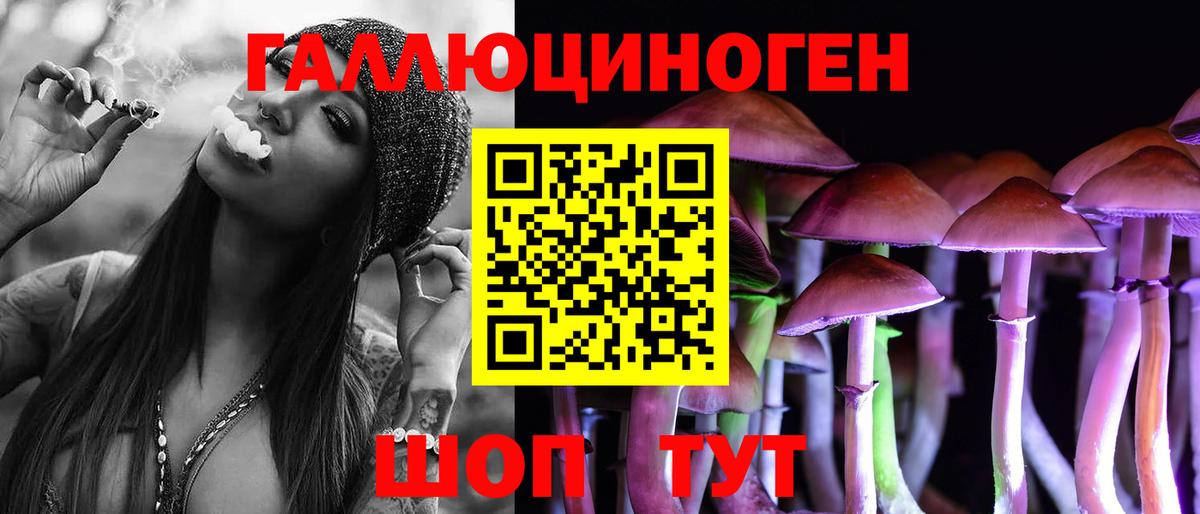 Галлюциногенные грибы Psilocybine cubensis  Вход с VPN  Псилоцибиновые грибы Psilocybe  Баксан 